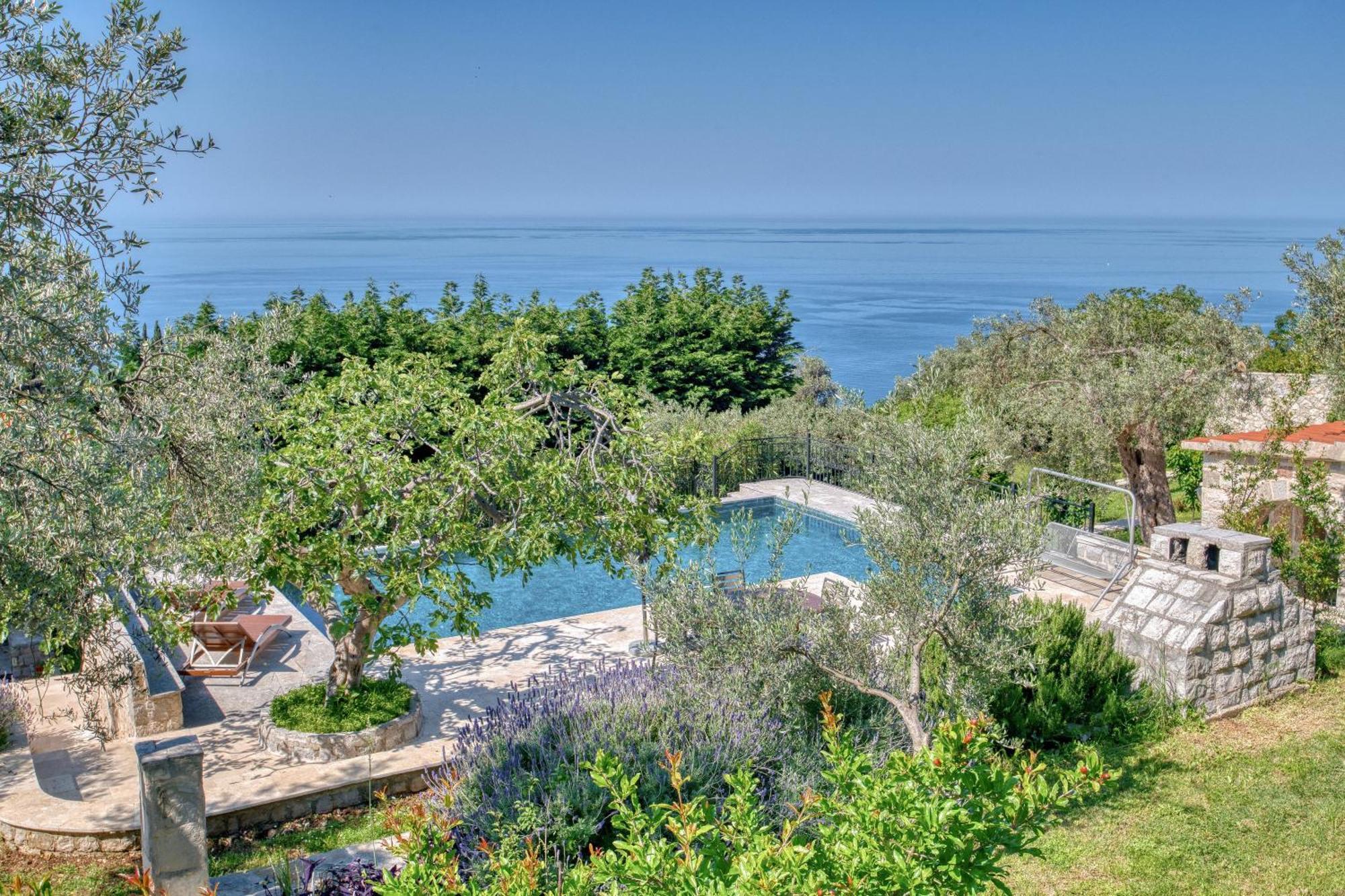 Olive Grove * Budva