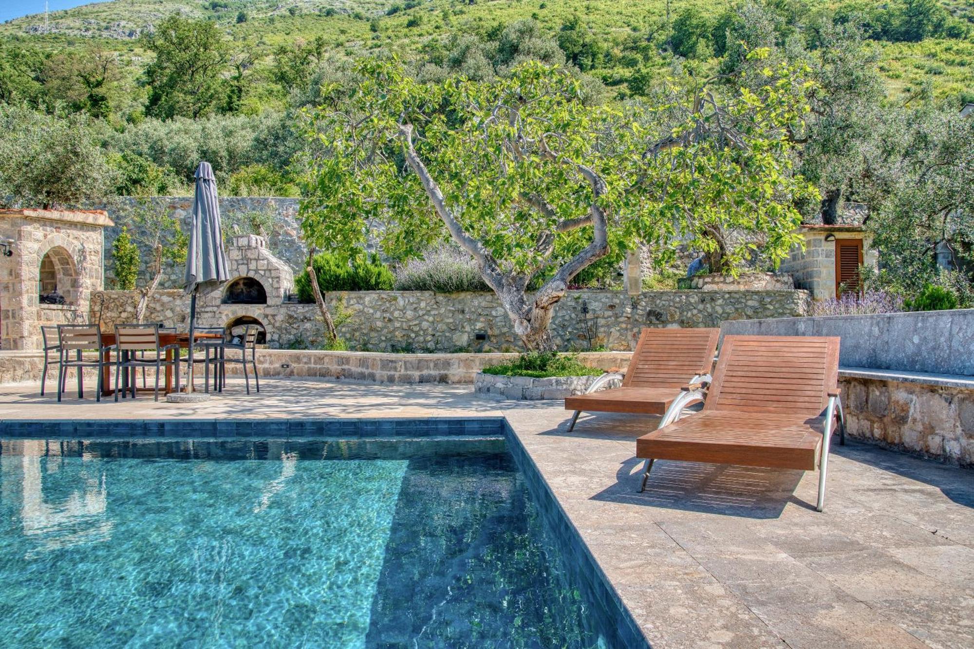 Olive Grove *