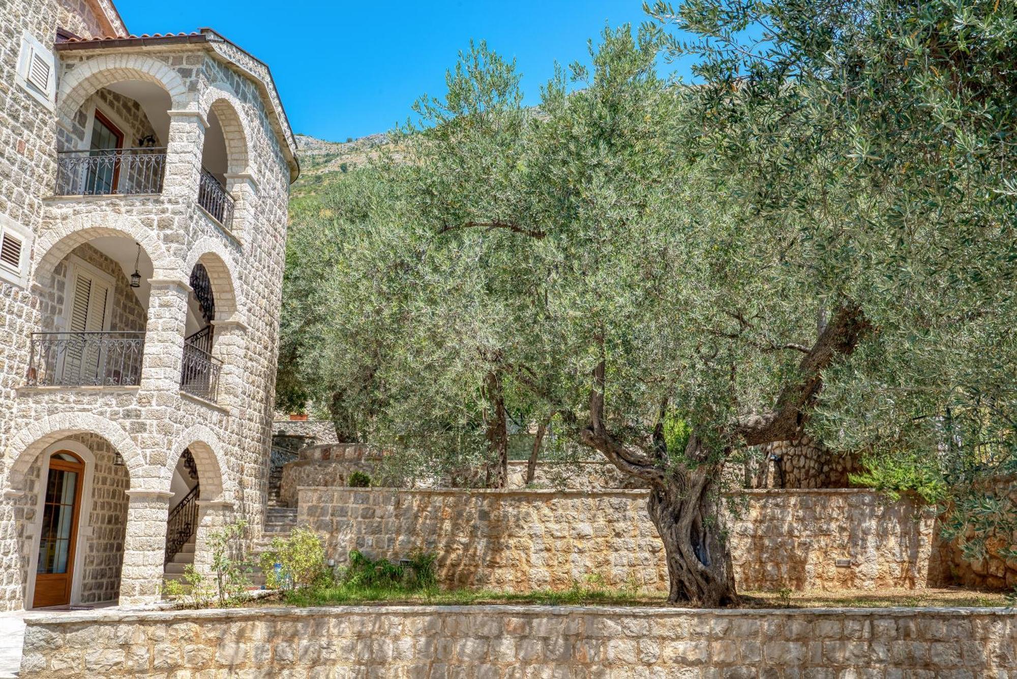 Villa Olive Grove *